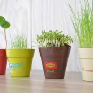 Kit de plantation pot bambou biodégradable