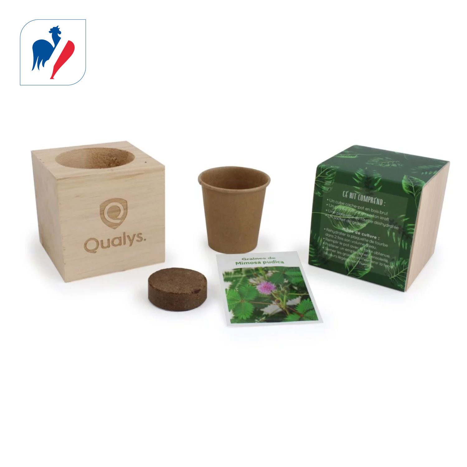 Cube bois graines Made in France