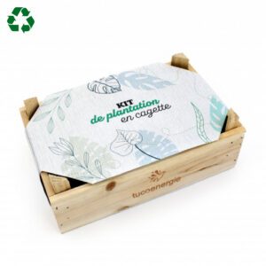 Kit de semis en cagette made in France
