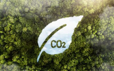 Comprendre l’empreinte carbone d’un produit : une priorité chez Goodetik